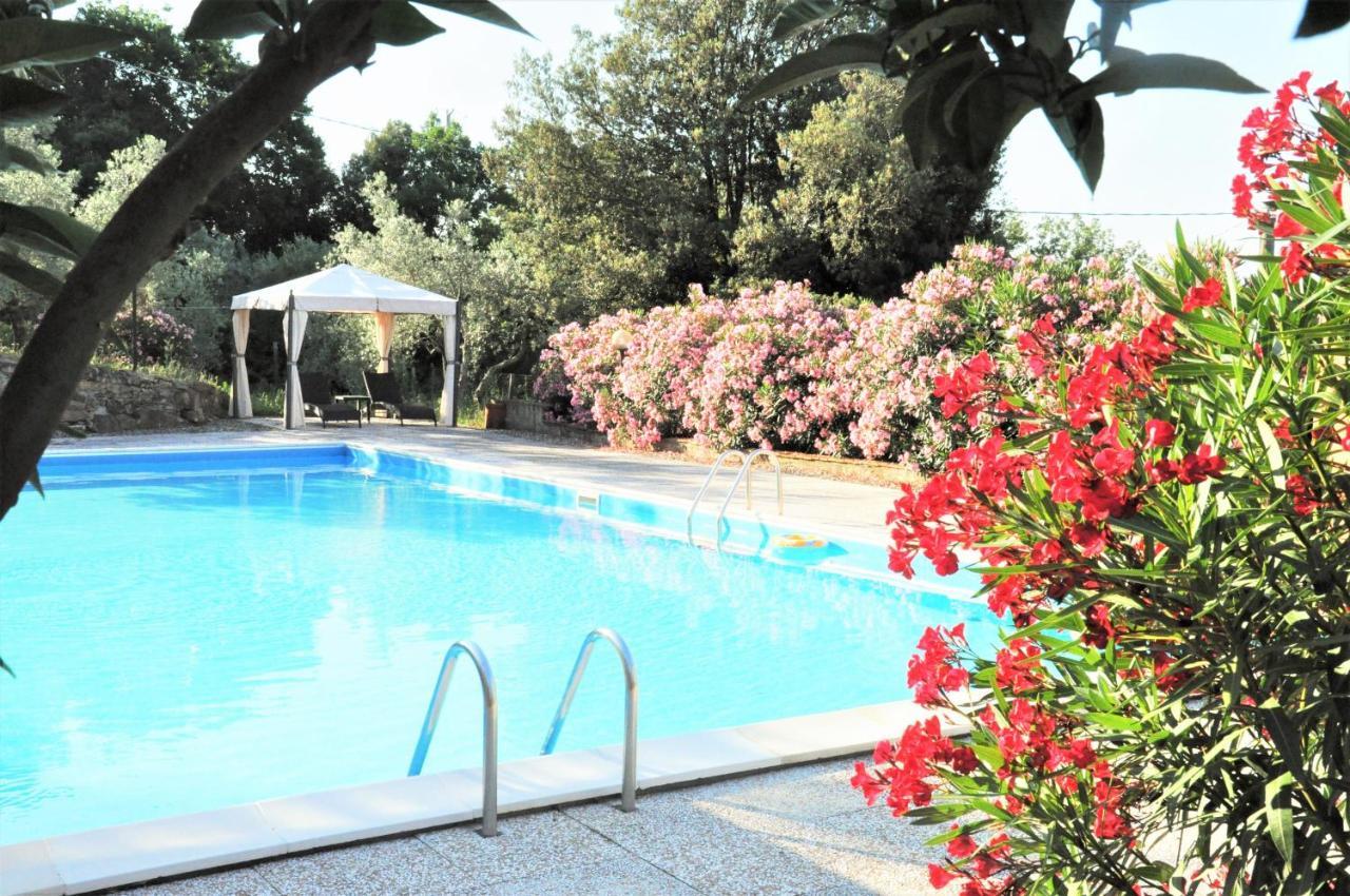 Agriturismo Pereti Roccatederighi Exterior photo