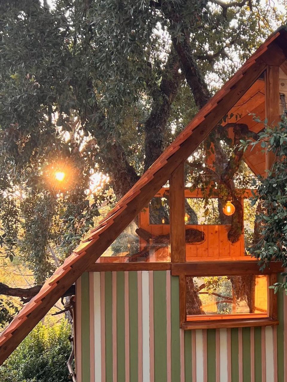 Agriturismo Pereti Roccatederighi Exterior photo