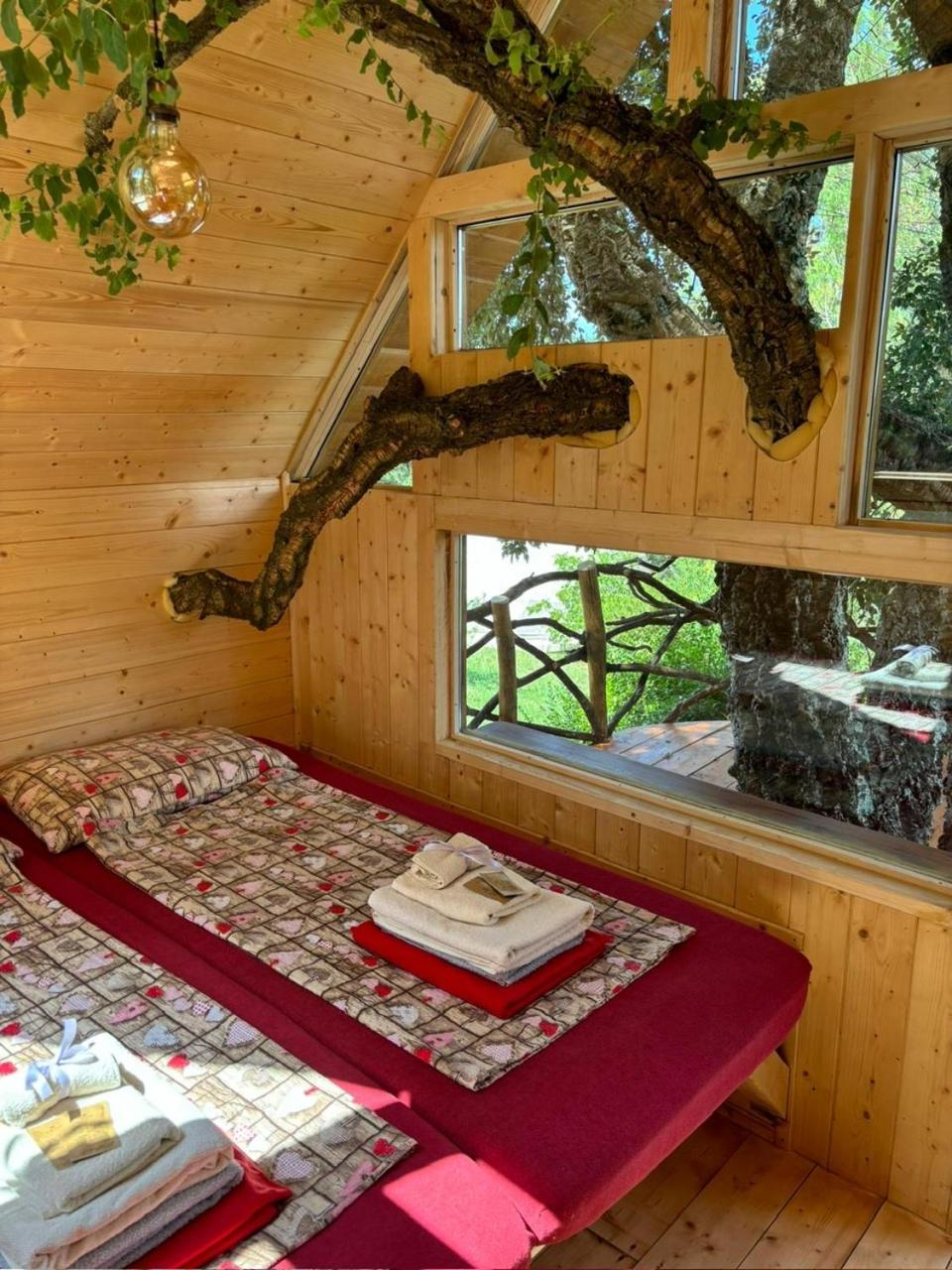 Agriturismo Pereti Roccatederighi Room photo